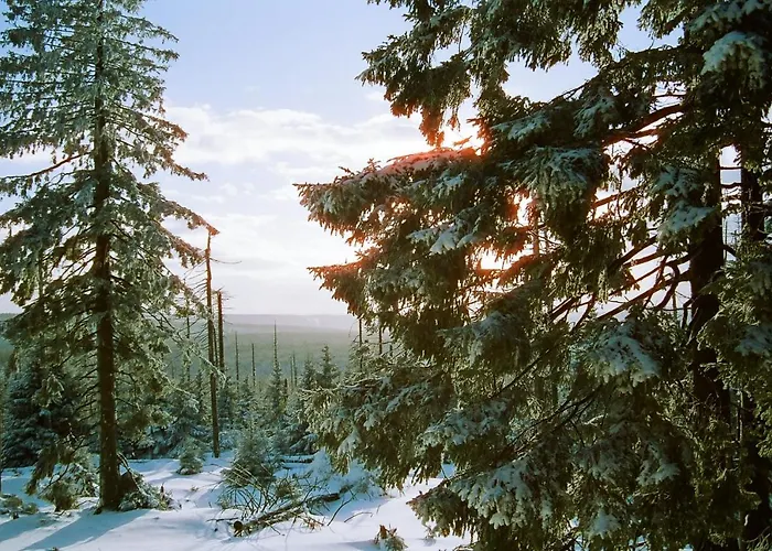 Rosengarten 3* Sangerhausen