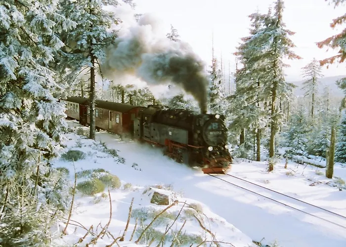 Rosengarten 3* Sangerhausen